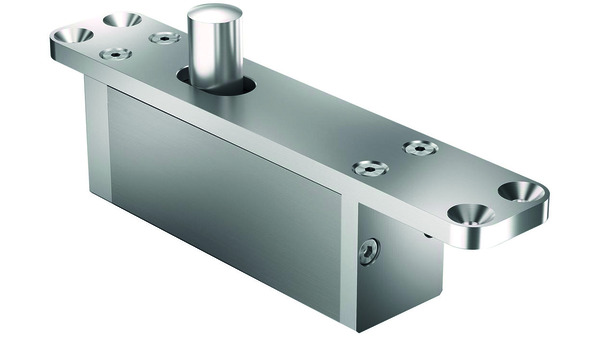 Zapfenband FRITSJURGENS TP-70-G