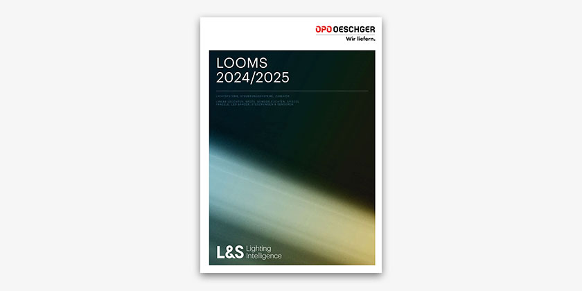 <p>Lichtstarke Systemlösungen für das Handwerk von L&S auf über 250 Seiten.</p>