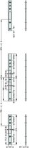 Flachschliessblech-Set EFF-EFF 819